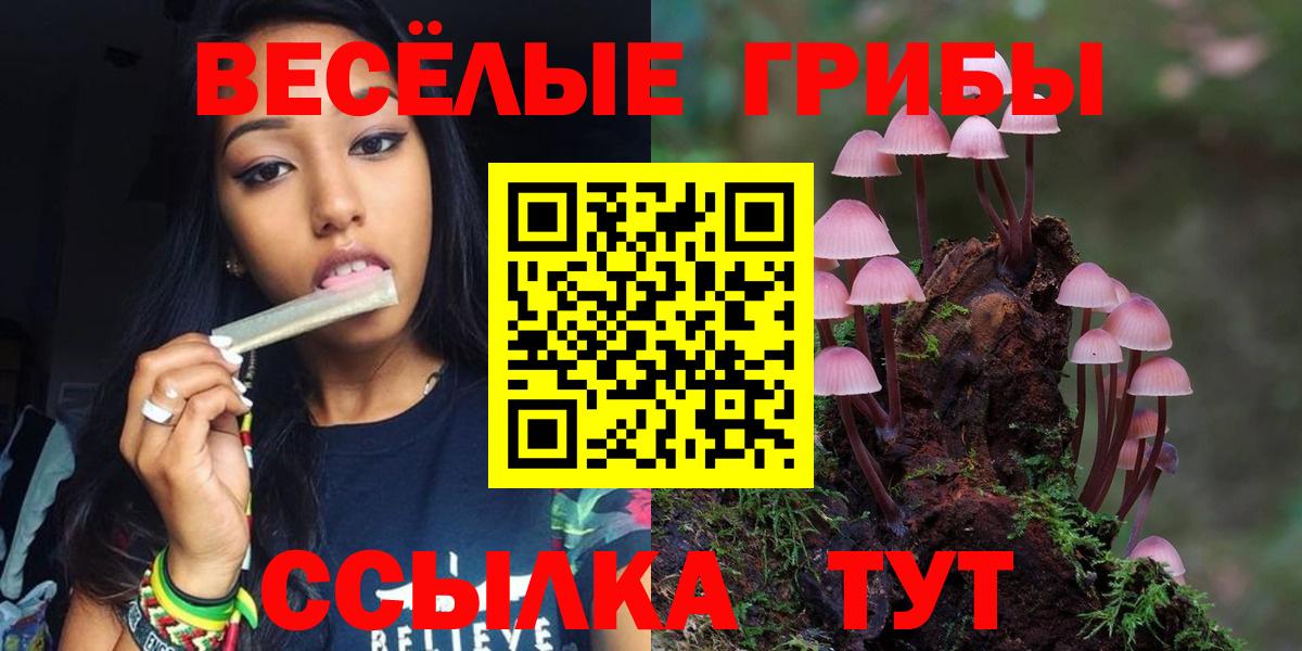 Псилоцибиновые грибы мухоморы  Галлюциногенные грибы прущие грибы  Коммунар  Вход с VPN 